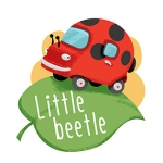 Little beetle